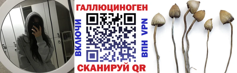 маркетплейс официальный сайт  Курлово  Псилоцибиновые грибы ЛСД 