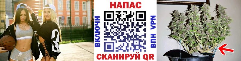 дарк нет наркотические препараты  Курлово  Бошки марихуана индика 
